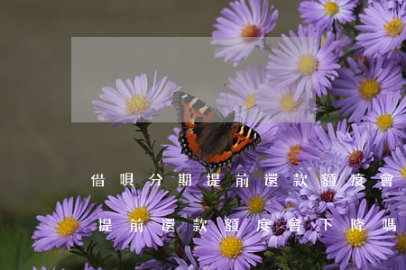 借唄分期提前還款額度會下降嗎-借唄分期提前還款額度會下降嗎