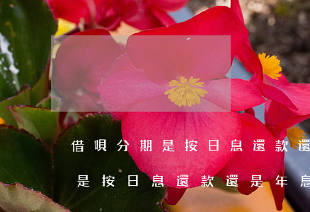 借唄分期是按日息還款還是年息-借唄分期是按日息還款還是年息還款