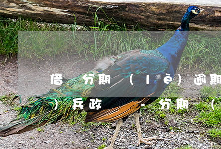借唄分期樂(lè)逾期影響當(dāng)兵政審嗎-分期樂(lè)逾期多久上征信?借唄逾期幾天上征信