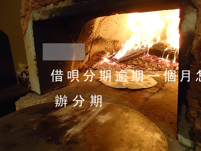 借唄分期逾期一個月怎么辦(借唄逾期了怎么辦分期)