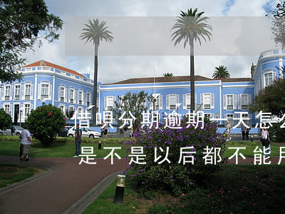 借唄分期逾期一天怎么辦(借唄分期逾期一天是不是以后都不能用了?)