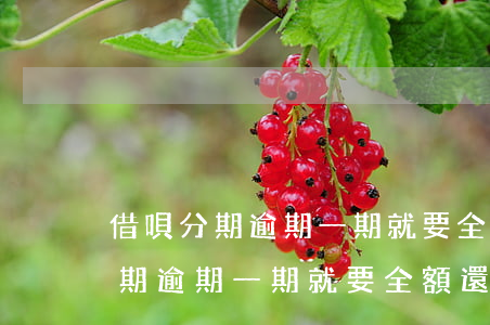 借唄分期逾期一期就要全額還款嗎-借唄分期逾期一期就要全額還款嗎是真的嗎