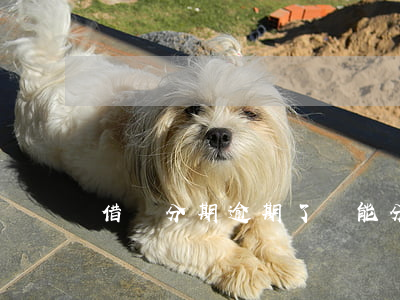 借唄分期逾期了還能分期嗎