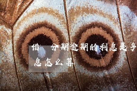 借唄分期逾期的利息是多少(借唄分期逾期利息怎么算)