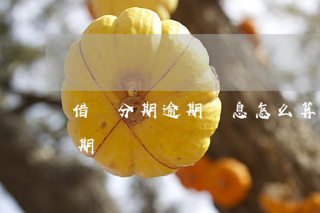 借唄分期逾期罰息怎么算(借唄逾期能停息分期嗎)
