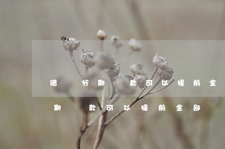借唄分期還款可以提前全部還上嗎-借唄分期還款可以提前全部還上嗎安全嗎