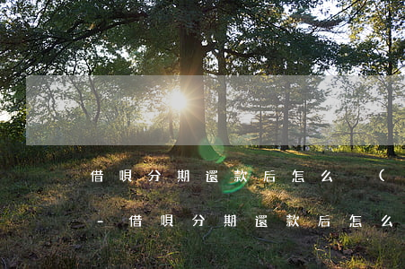 借唄分期還款后怎么沒(méi)有額度了-借唄分期還款后怎么沒(méi)有額度了呢