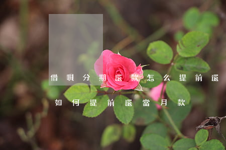 借唄分期還款怎么提前還當月款-借唄分期如何提前還當月款