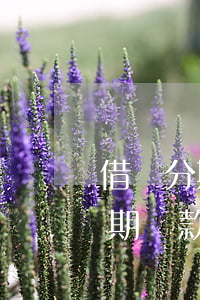借唄分期還款提前還款影響征信嗎-借唄分期還款提前還款影響征信嗎
