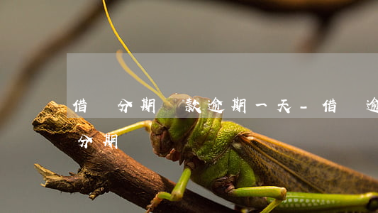借唄分期還款逾期一天-借唄逾期一天可以分期嗎