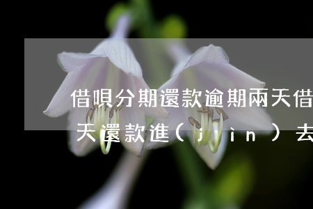 借唄分期還款逾期兩天(借唄分期還款逾期6天還款進(jìn)去會(huì)降額度嗎?)
