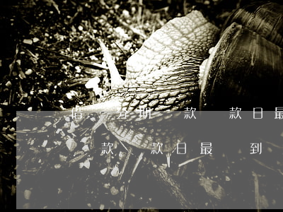 借唄分期還款還款日最遲到幾點-借唄分期還款還款日最遲到幾點結束