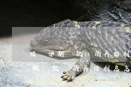 借唄分期還款還清再借利息怎么算-借唄分期還款還清再借利息怎么算的