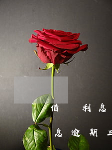 借唄利息逾期三天為什么不能用了-借唄利息逾期三天為什么不能用了呢