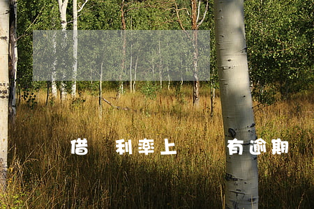 借唄利率上漲沒有逾期過(借唄利率下降)