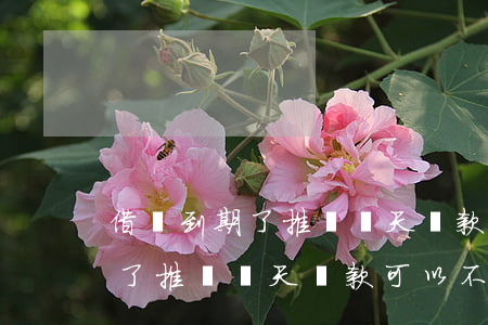 借唄到期了推遲幾天還款可以不-借唄到期了推遲幾天還款可以不還嗎