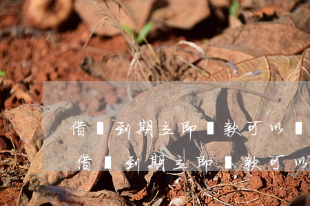 借唄到期立即還款可以繼續(xù)借嗎-借唄到期立即還款可以繼續(xù)借嗎安全嗎