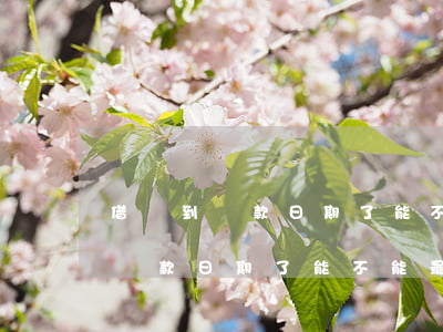 借唄到還款日期了能不能最低還款-借唄到還款日期了能不能最低還款呢