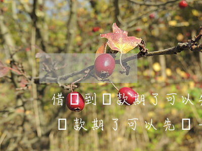 借唄到還款期了可以先還一部分嗎-借唄到還款期了可以先還一部分嗎怎么還