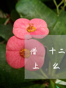 借唄十二萬逾期會上門嗎(借唄逾期兩個月會上門么)