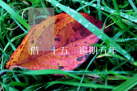 借唄十五萬逾期五年