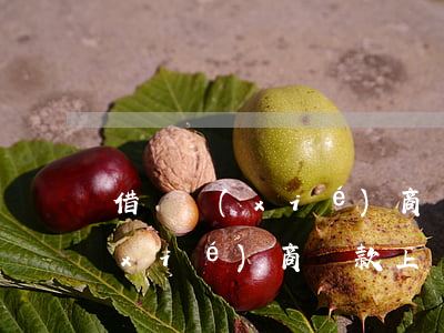 借唄協(xié)商還款上傳資料(借唄協(xié)商還款上傳資料)