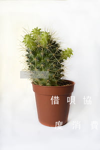借唄協(xié)商還款事件描述可以寫過度消費嗎-借唄協(xié)商還款事件描述怎么寫