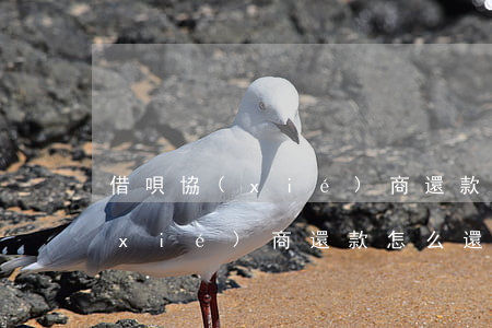 借唄協(xié)商還款怎么還款(借唄協(xié)商還款怎么還款的)
