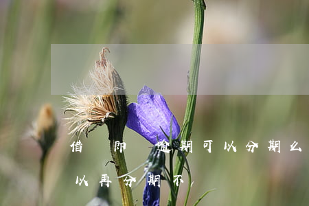 借唄即將逾期可以分期么(支付寶借唄逾期可以再分期不?)