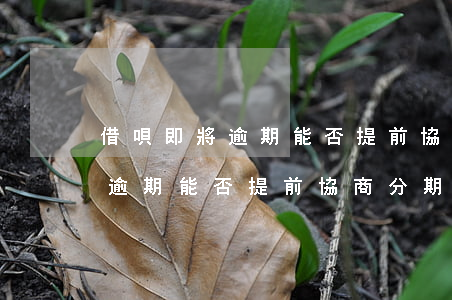 借唄即將逾期能否提前協商分期-借唄即將逾期能否提前協商分期還款
