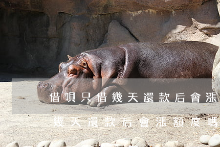 借唄只借幾天還款后會漲額度嗎-借唄只借幾天還款后會漲額度嗎知乎