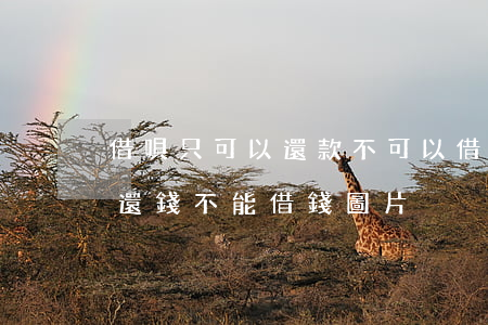 借唄只可以還款不可以借的圖片-借唄只能還錢不能借錢圖片