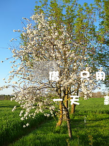 借唄只用一天還款借幾個月合適-借唄只用一天還款借幾個月合適嗎