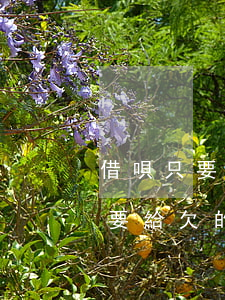 借唄只要給欠的錢還清就沒事了嗎-借唄只要給欠的錢還清就沒事了嗎怎么辦