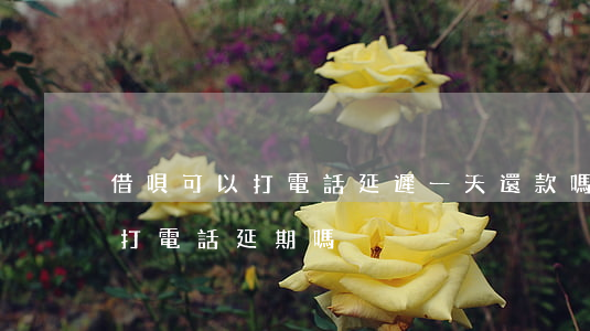 借唄可以打電話延遲一天還款嗎-借唄可以打電話延期嗎