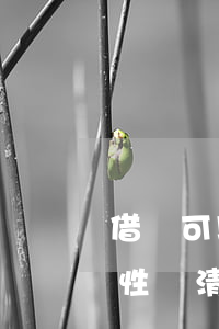 借唄可以提前還款嗎利息怎么算-借唄一次性還清的后果
