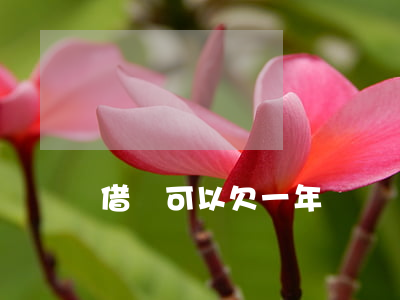 借唄可以欠一年嗎