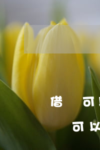 借唄可以跟客服協(xié)商分期嗎-借唄可以跟客服協(xié)商分期嗎安全嗎