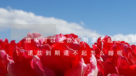 借唄可以還款到期還不起怎么辦-借唄可以還款到期還不起怎么辦呢
