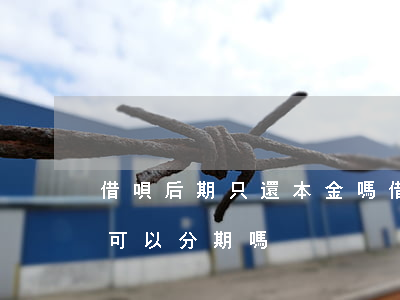 借唄后期只還本金嗎(借唄最后還本金的時候可以分期嗎?)