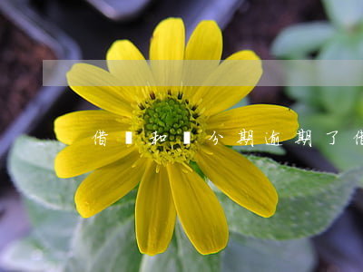 借唄和來分期逾期了(借唄和來分期逾期了)