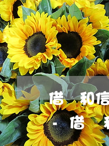 借唄和信用卡哪個逾期比較嚴(yán)重-借唄和信用卡哪個逾期比較嚴(yán)重些