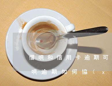 借唄和信用卡逾期可以協(xié)商嗎(借唄逾期如何協(xié)商)