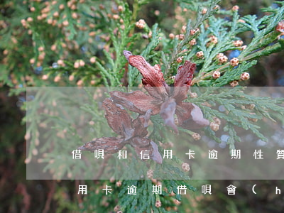 借唄和信用卡逾期性質(zhì)一樣嗎（信用卡逾期借唄會(huì)封嗎）