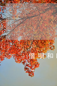 借唄和唯品花如果逾期會(huì)怎么樣-