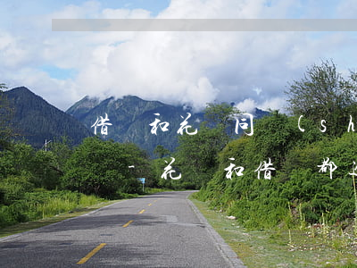 借唄和花唄同時(shí)逾期能先還借唄嗎-花唄和借唄都逾期了,還完花唄可以先用嗎?