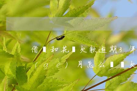 借唄和花唄欠款逾期3年(花唄借唄逾期3個(gè)月怎么辦總欠款7萬多)