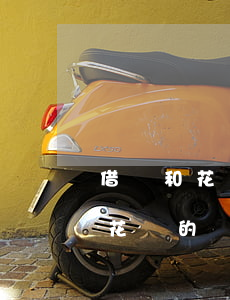 借唄和花唄的還款日期是一樣的嗎-借唄和花唄的還款時(shí)間