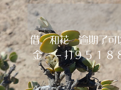借唄和花唄逾期了可以協(xié)商還本金嗎-打95188轉(zhuǎn)2協(xié)商逾期的事情