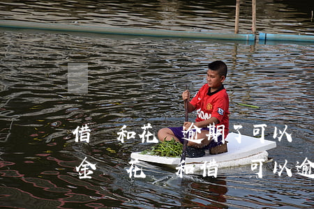 借唄和花唄逾期了可以協(xié)商還本金嗎（花唄和借唄可以逾期嗎）